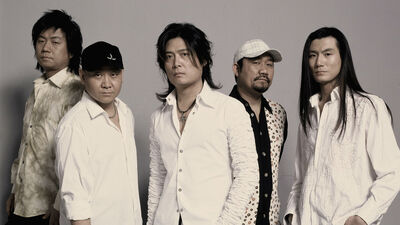 怕你为自己流泪