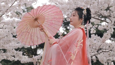 探窗 (DJ名龙版)